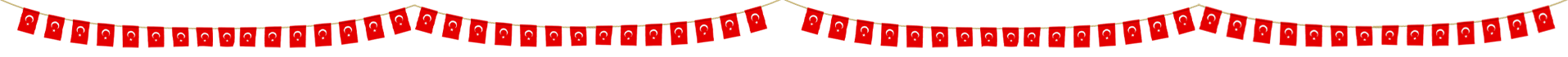 Üst Bayrak Banner