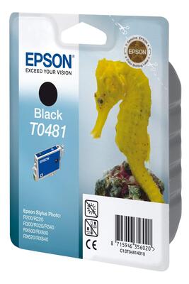EPSON - Epson C13T04814020 (T0481) Siyah Orjinal Kartuş (T2955)