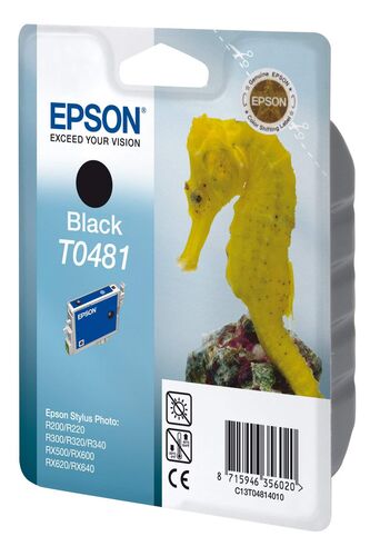 Epson C13T04814020 (T0481) Black Original Cartridge