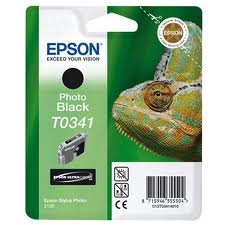 EPSON - Epson C13T034140 (T0341) Photo Black Orjinal Kartuş - Stylus Photo 2100 (T2954)