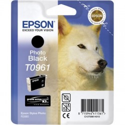 EPSON - Epson C13T09614020 (T0961) Foto Siyah Orjinal Kartuş - Photo R2880 (T2074)