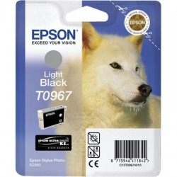 EPSON - Epson C13T09674020 (T0967) Açık Siyah Orjinal Kartuş - Photo R2880 (T2902)