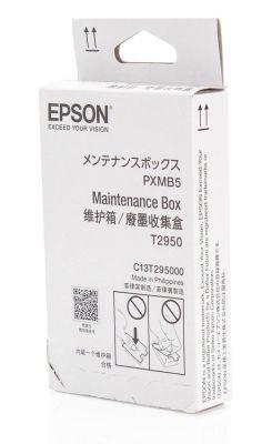 EPSON - Epson C13T295000 (T2950) Original Maintenance Kit - WF-100