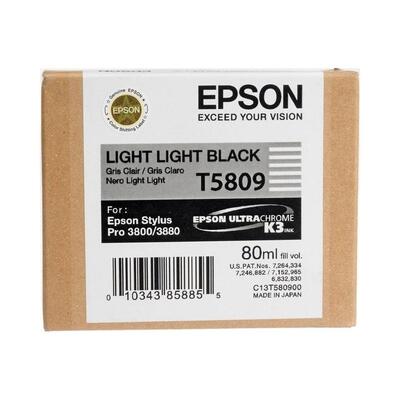 EPSON - Epson C13T580900 (T5809) Double Light Black Original Cartridge - Stylus Pro 3800