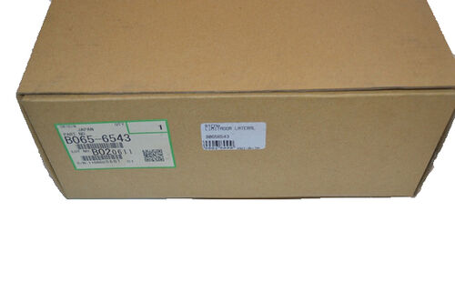 Ricoh B065-6543 Inner Back Side Fence - 1060 / 1075 - 1