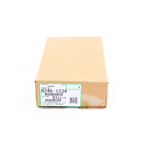Ricoh B246-1234 Rear Ozone Filter - MP6000 - 1